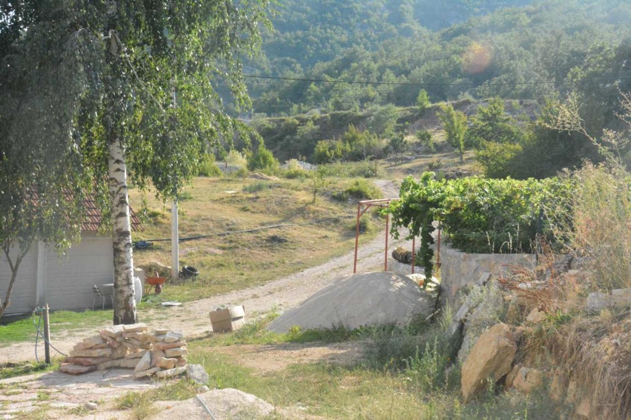 Gazdinstvo Tadic Konuk evi Nikšić Dış mekan fotoğraf